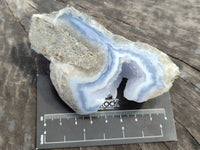 Polished Blue Lace Agate Geodes x 12 From Nsanje, Malawi