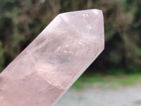 Polished Rose Quartz Points x 6 From Ambatondrazaka, Madagascar