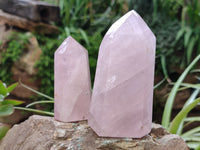 Polished Rose Quartz Points x 6 From Ambatondrazaka, Madagascar