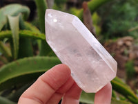 Polished Rose Quartz Points x 6 From Ambatondrazaka, Madagascar