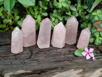 Polished Rose Quartz Points x 6 From Ambatondrazaka, Madagascar