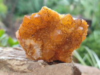 Natural Golden Solar Spirit Quartz Clusters x 12 From Boekenhouthoek, South Africa