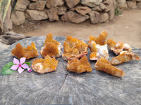 Natural Golden Solar Spirit Quartz Clusters x 12 From Boekenhouthoek, South Africa