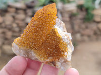 Natural Golden Solar Spirit Quartz Clusters x 12 From Boekenhouthoek, South Africa