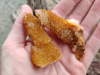 Natural Golden Solar Spirit Quartz Clusters x 12 From Boekenhouthoek, South Africa