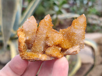 Natural Golden Solar Spirit Quartz Clusters x 12 From Boekenhouthoek, South Africa