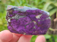 Polished On One Side Purpurite x 12 From Namibia