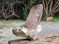 Natural Smokey Quartz Crystals x 2 From Malawi