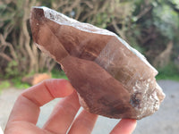 Natural Smokey Quartz Crystals x 2 From Malawi