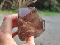 Natural Smokey Quartz Crystals x 2 From Malawi