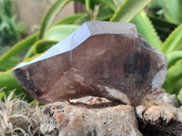 Natural Smokey Quartz Crystals x 2 From Malawi