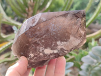 Natural Smokey Quartz Crystals x 2 From Malawi