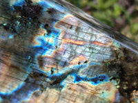 Polished Labradorite Standing Free Forms x 2 From Tulear, Madagascar