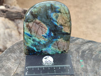 Polished Labradorite Standing Free Forms x 2 From Tulear, Madagascar