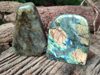 Polished Labradorite Standing Free Forms x 2 From Tulear, Madagascar