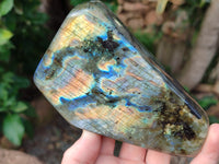 Polished Labradorite Standing Free Forms x 2 From Tulear, Madagascar