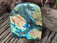 Polished Labradorite Standing Free Forms x 2 From Tulear, Madagascar