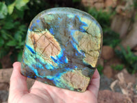 Polished Labradorite Standing Free Forms x 2 From Tulear, Madagascar