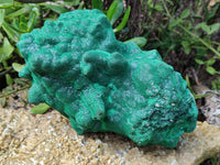 Natural Silky Malachite Stalactite Specimen With Chrysocolla x 1 From Kasompe, Congo