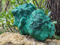 Natural Silky Malachite Stalactite Specimen With Chrysocolla x 1 From Kasompe, Congo