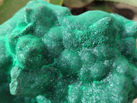 Natural Silky Malachite Stalactite Specimen With Chrysocolla x 1 From Kasompe, Congo