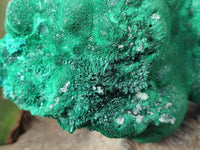 Natural Silky Malachite Stalactite Specimen With Chrysocolla x 1 From Kasompe, Congo