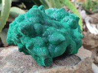 Natural Silky Malachite Stalactite Specimen With Chrysocolla x 1 From Kasompe, Congo