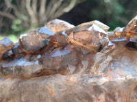 Natural Cascading Smokey Window Quartz Crystal Specimen x 1 From Brandberg, Namibia