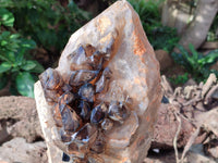 Natural Cascading Smokey Window Quartz Crystal Specimen x 1 From Brandberg, Namibia