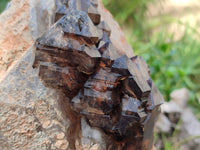 Natural Cascading Smokey Window Quartz Crystal Specimen x 1 From Brandberg, Namibia