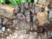 Natural Cascading Smokey Window Quartz Crystal Specimen x 1 From Brandberg, Namibia