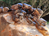 Natural Cascading Smokey Window Quartz Crystal Specimen x 1 From Brandberg, Namibia