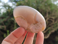 Polished Flower Agate Palm Stones x 12 From Antsahalova, Madagascar