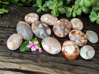 Polished Flower Agate Palm Stones x 12 From Antsahalova, Madagascar