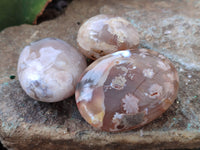 Polished Flower Agate Palm Stones x 12 From Antsahalova, Madagascar