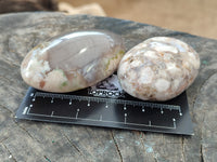 Polished Flower Agate Palm Stones x 12 From Antsahalova, Madagascar