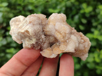 Natural Spirit Quartz Clusters x 12 From Boekenhouthoek, South Africa