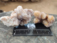 Natural Spirit Quartz Clusters x 12 From Boekenhouthoek, South Africa