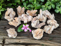 Natural Spirit Quartz Clusters x 12 From Boekenhouthoek, South Africa