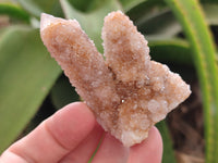 Natural Spirit Quartz Clusters x 12 From Boekenhouthoek, South Africa