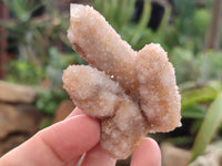 Natural Spirit Quartz Clusters x 12 From Boekenhouthoek, South Africa