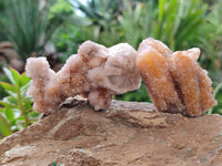 Natural Spirit Quartz Clusters x 12 From Boekenhouthoek, South Africa