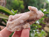 Natural Spirit Quartz Clusters x 12 From Boekenhouthoek, South Africa