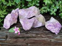 Natural Stichtite Cobbed Specimens x 4 From Barberton, South Africa