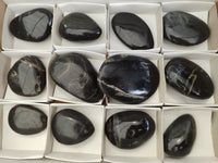 Polished Pharaoh Stone Free Forms x 12 Zimbabwe