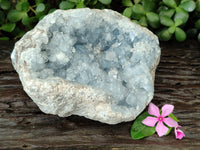 Natural Celestite Geode Specimen x 1 From Sakoany, Madagascar