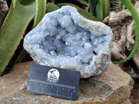 Natural Celestite Geode Specimen x 1 From Sakoany, Madagascar