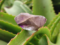 Natural Royal Zulu Amethyst Crystals x 20 from KwaZulu Natal, South Africa