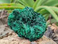 Natural Silky Malachite Specimens x 6 From Kasompe, Congo