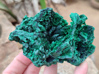 Natural Silky Malachite Specimens x 6 From Kasompe, Congo